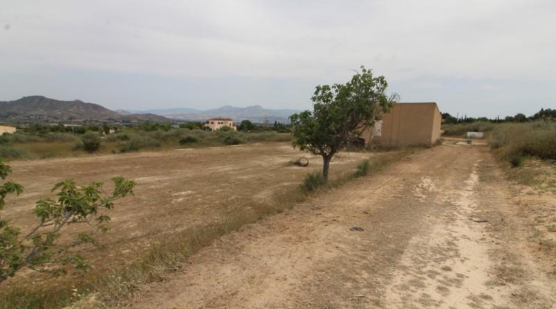 Alicante - Aspe - 44000m2