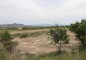 Parcel·la urbanitzable en venda a la España, Asp, ref.: TR119698 foto