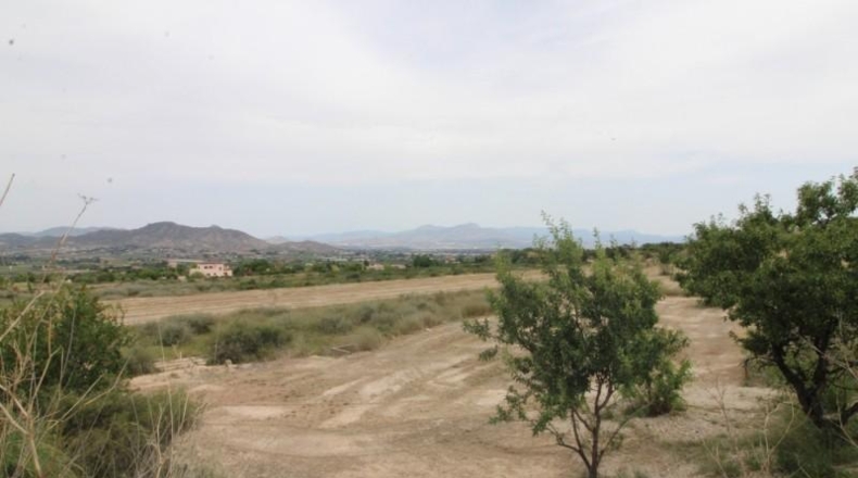 Alicante - Aspe - 44000m2