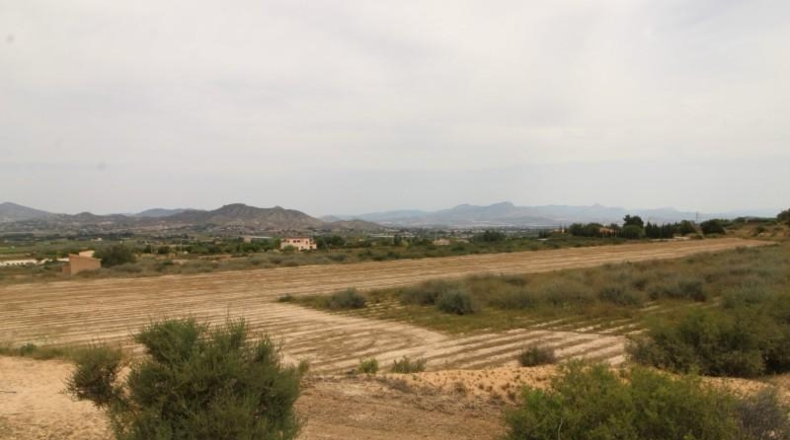 Alicante - Aspe - 44000m2