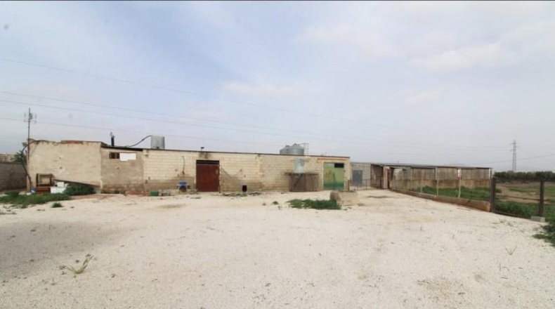Alicante - Aspe - 6000m2