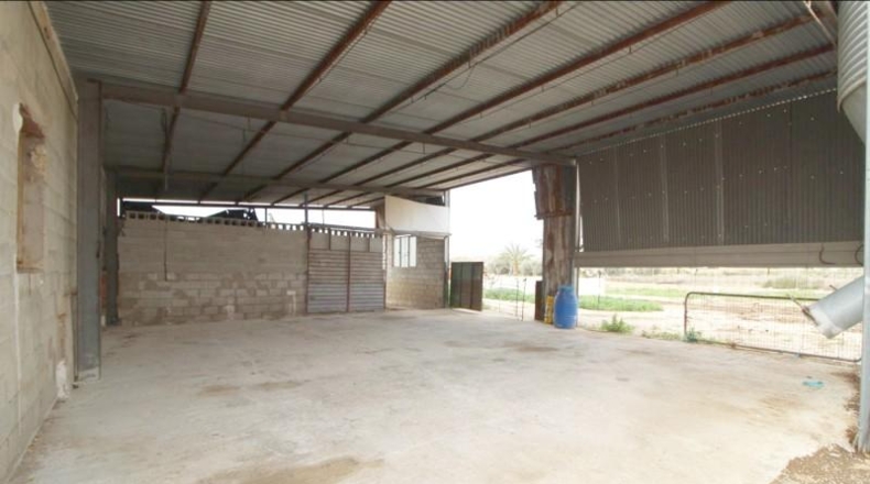 Alicante - Aspe - 6000m2