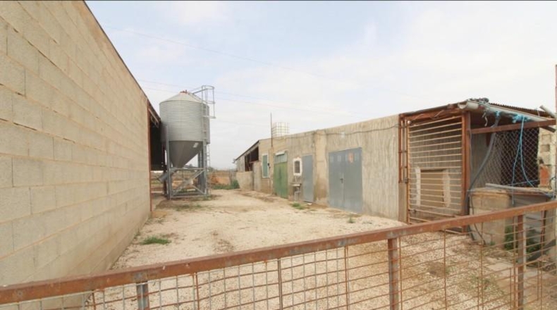Alicante - Aspe - 6000m2