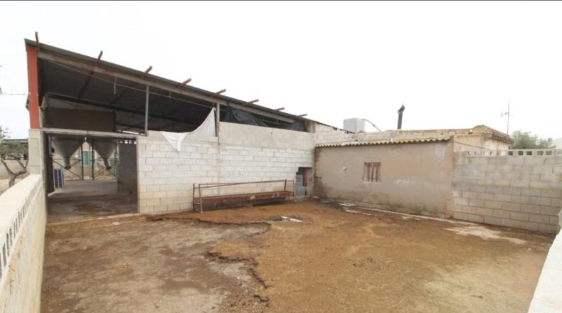 Alicante - Aspe - 6000m2