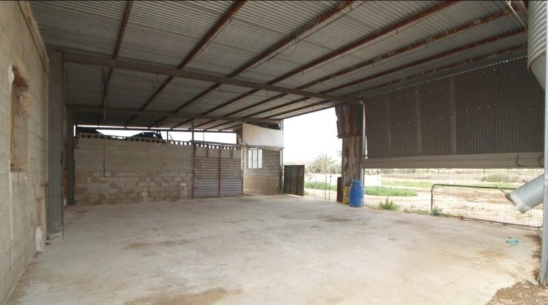 Alicante - Aspe - 6000m2