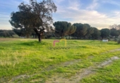 Country house with land for sale on España, Badajoz, ref: TR143200 photo