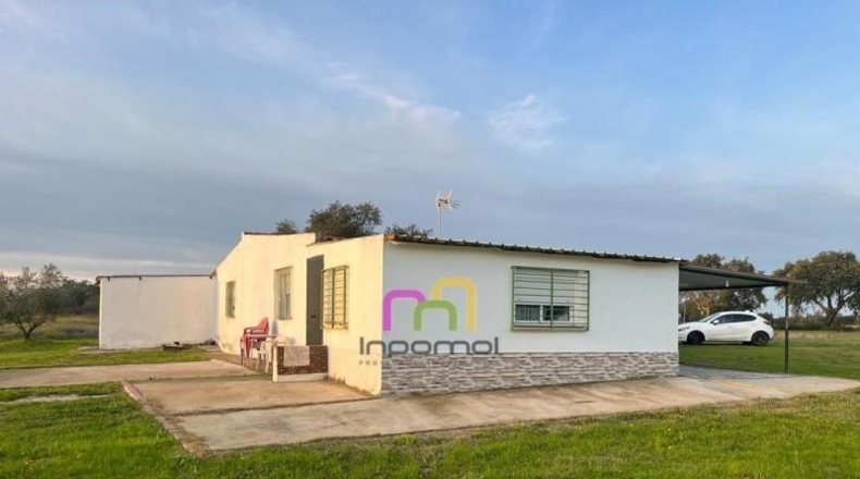 Badajoz - Badajoz - 5000m2