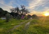 Country house with land for sale on España, Badajoz, ref: TR143200 photo