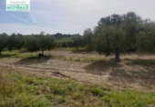 Chalet independiente con terreno en venta en la España, la Secuita, ref: TR139393 foto