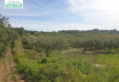 Chalet independiente con terreno en venta en la España, la Secuita, ref: TR139393 foto