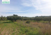 Chalet independiente con terreno en venta en la España, la Secuita, ref: TR139393 foto
