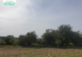 Chalet independiente con terreno en venta en la España, la Secuita, ref: TR139393 foto