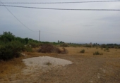 Terreno no urbanizable en venta en la España, Elche, ref: TR118590 foto
