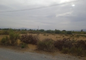 Terreno no urbanizable en venta en la España, Elche, ref: TR118590 foto