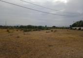 Terreno no urbanizable en venta en la España, Elche, ref: TR118590 foto