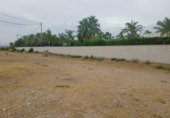 Terreno no urbanizable en venta en la España, Elche, ref: TR118590 foto