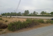 Terreno no urbanizable en venta en la España, Elche, ref: TR118590 foto