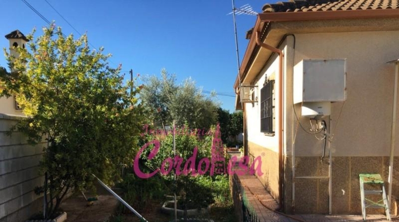 Córdoba - Córdoba - 900m2