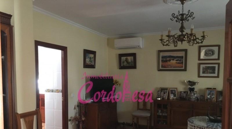 Córdoba - Córdoba - 900m2