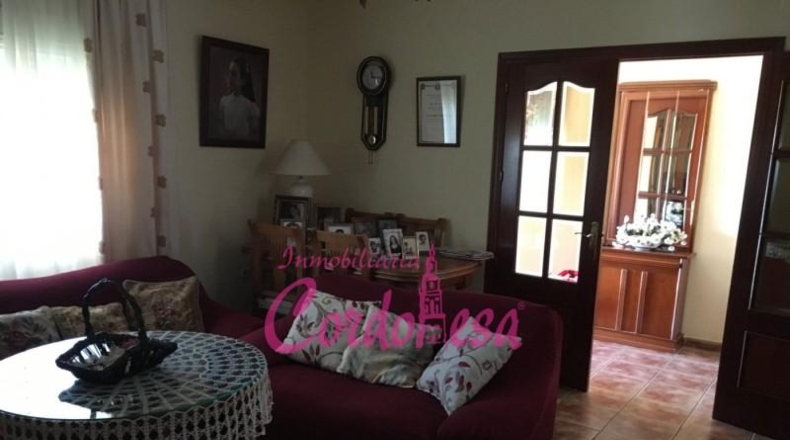 Córdoba - Córdoba - 900m2