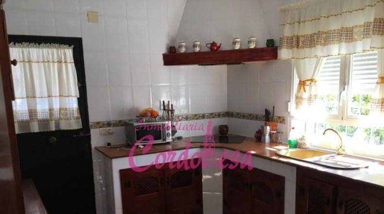 Córdoba - Córdoba - 900m2