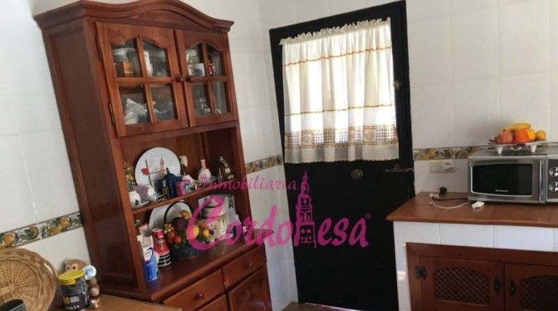 Córdoba - Córdoba - 900m2