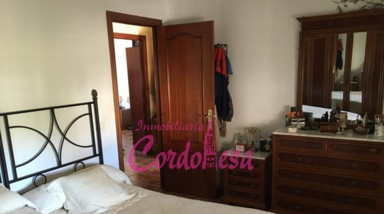 Córdoba - Córdoba - 900m2