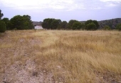 Terreny no urbanitzable en venda a la España, Calasparra, ref.: TR119444 foto