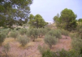 Terreny no urbanitzable en venda a la España, Calasparra, ref.: TR119444 foto