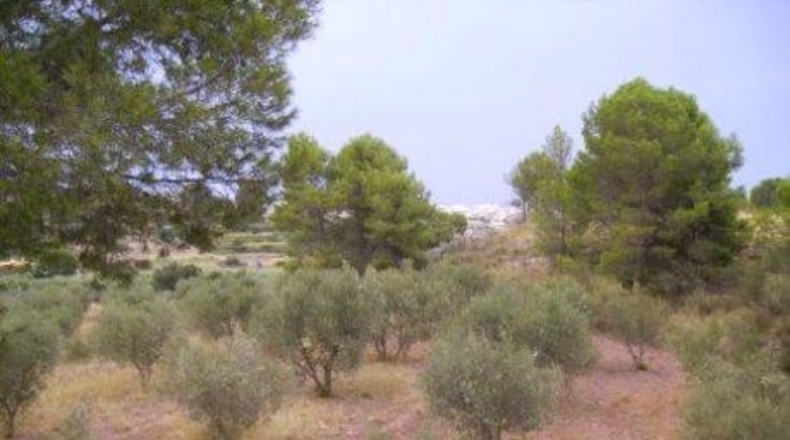 Múrcia - Calasparra - 26000m2