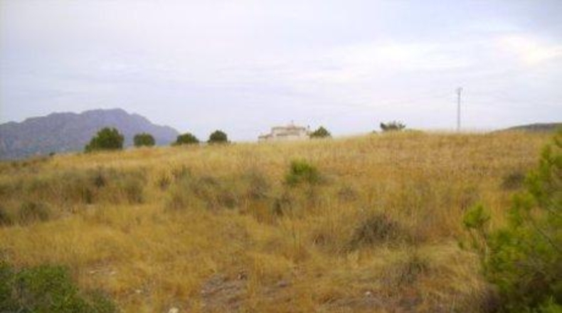 Múrcia - Calasparra - 26000m2