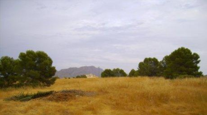 Múrcia - Calasparra - 26000m2