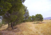Terreny no urbanitzable en venda a la España, Calasparra, ref.: TR119444 foto