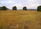 Terreny no urbanitzable en venda a la España, Calasparra, ref.: TR119444 foto