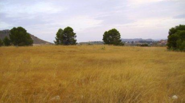 Múrcia - Calasparra - 26000m2