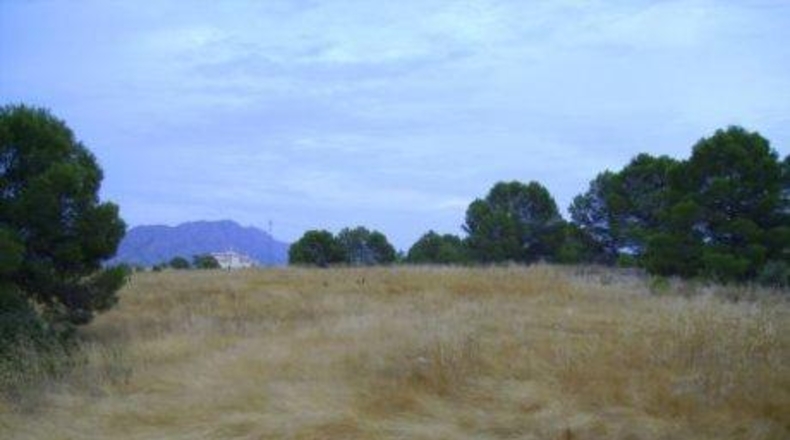 Múrcia - Calasparra - 26000m2