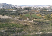 Terreny no urbanitzable en venda a la España, Calasparra, ref.: TR119481 foto