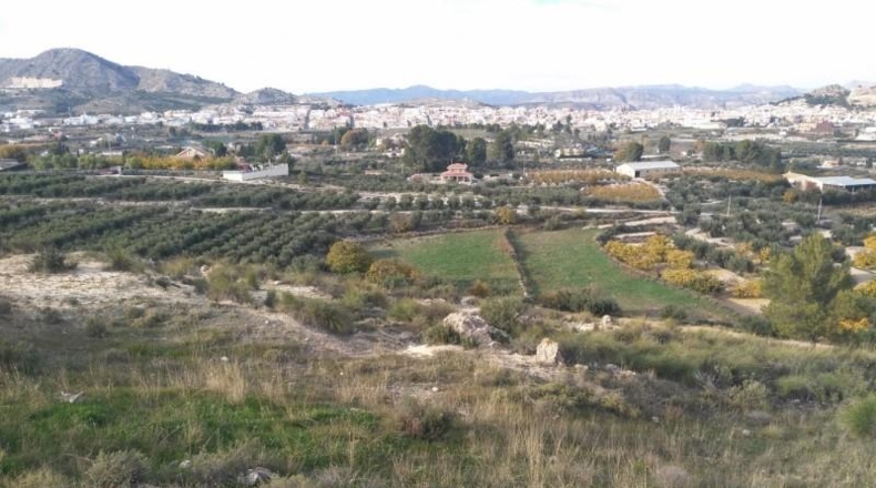 Múrcia - Calasparra - 40000m2