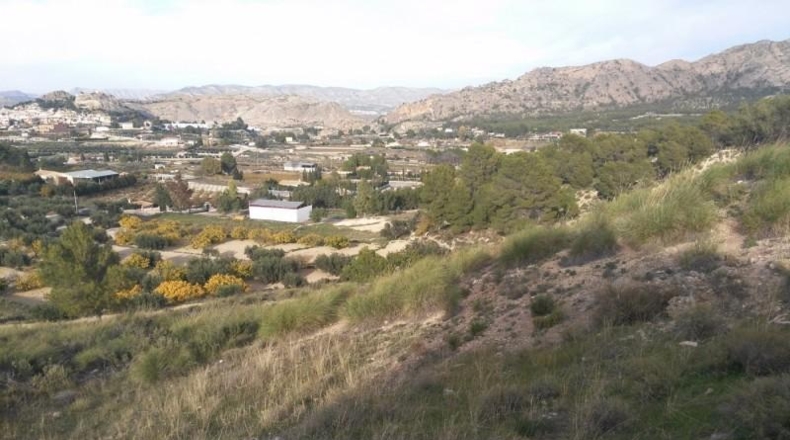 Múrcia - Calasparra - 40000m2