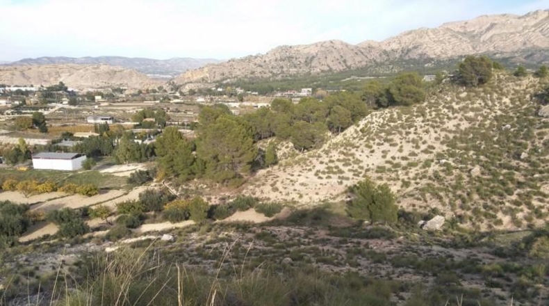 Múrcia - Calasparra - 40000m2