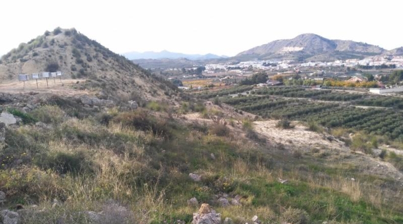 Múrcia - Calasparra - 40000m2