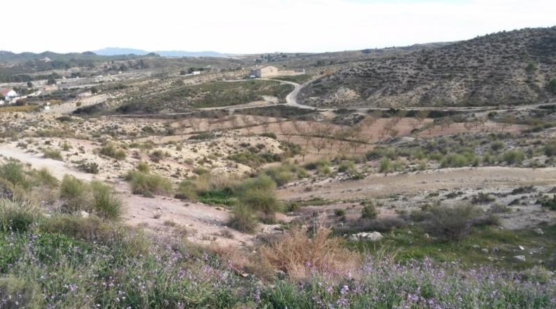 Múrcia - Calasparra - 40000m2