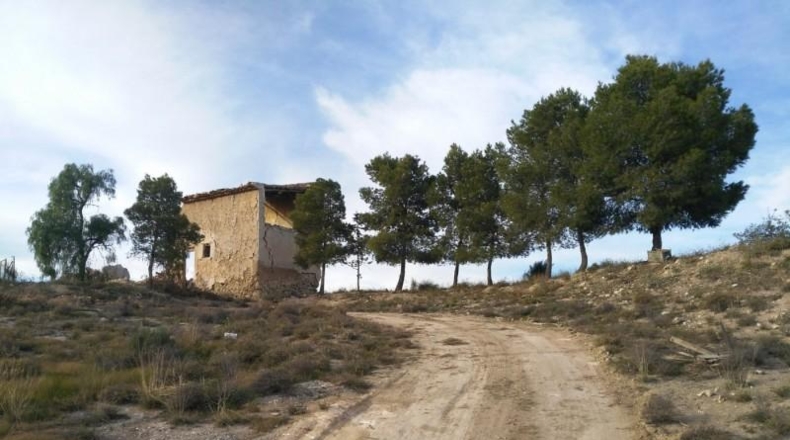 Múrcia - Calasparra - 40000m2