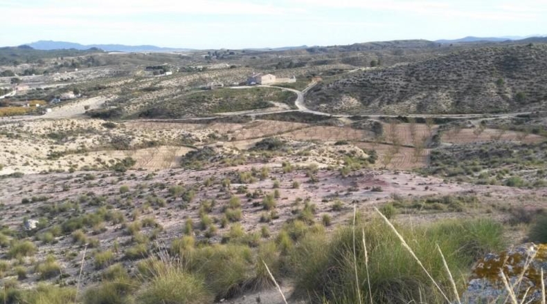 Múrcia - Calasparra - 40000m2