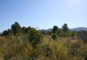 Terreny no urbanitzable en venda a la España, Orba, ref.: TR112847 foto