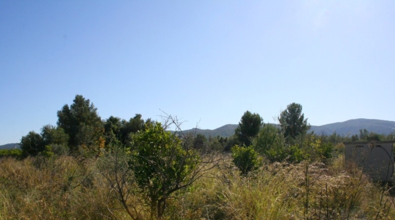 Alicante - Orba - 25762m2