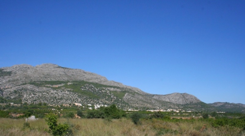 Alicante - Orba - 25762m2