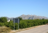 Terreny no urbanitzable en venda a la España, Orba, ref.: TR112847 foto