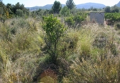 Terreny no urbanitzable en venda a la España, Orba, ref.: TR112847 foto
