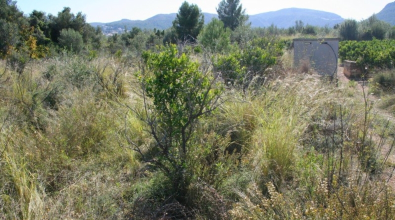 Alicante - Orba - 25762m2